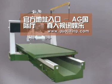 产品名称十