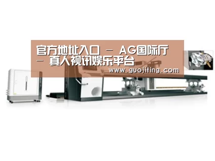案例展示五