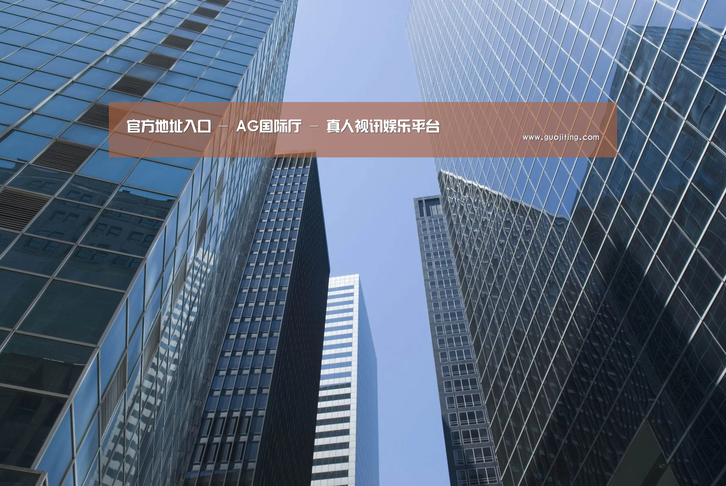 AG国际厅公司简介 