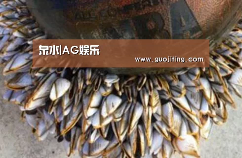 泉水|AG娱乐