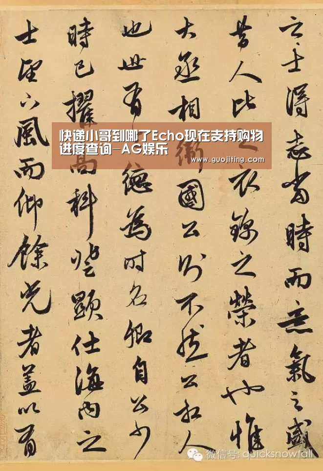 快递小哥到哪了Echo现在支持购物进度查