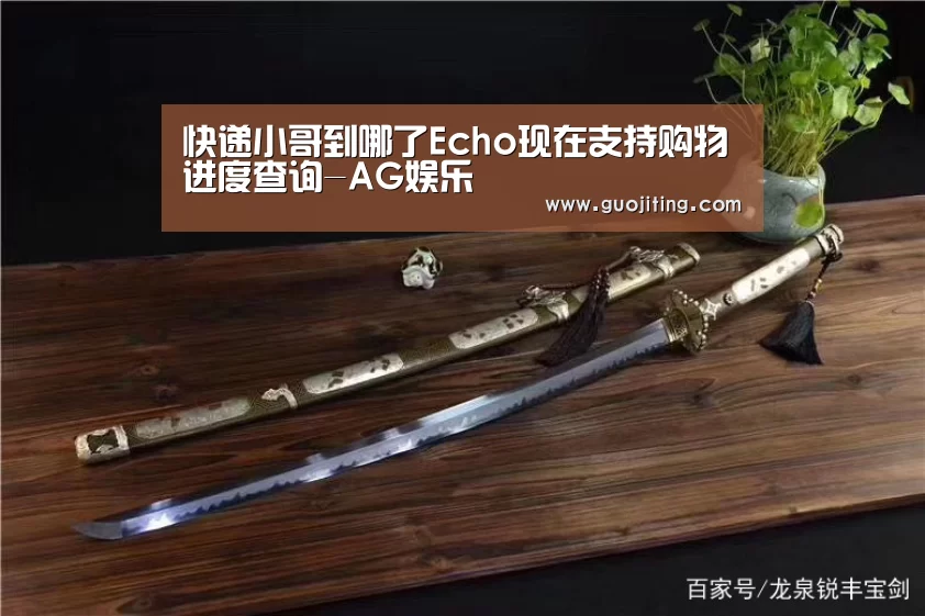 快递小哥到哪了Echo现在支持购物进度查询-AG娱乐(图3) AG国际厅