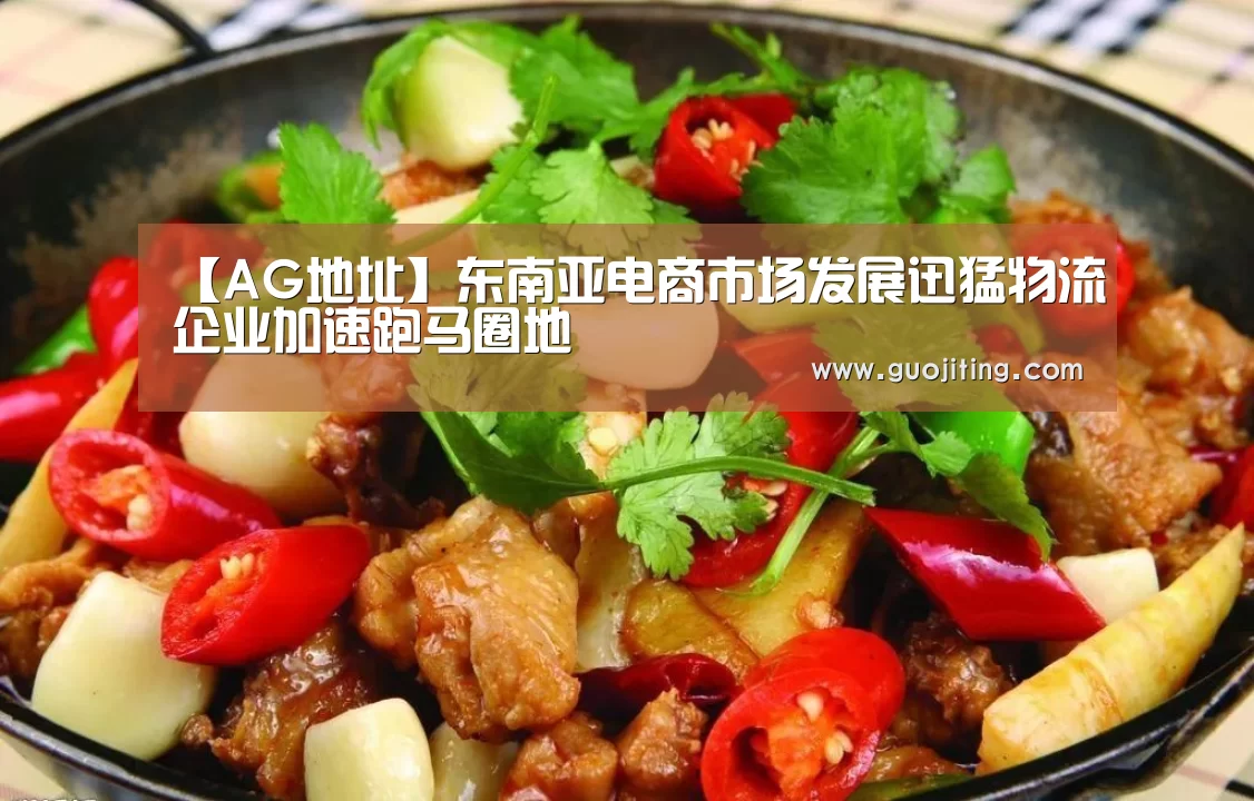 【AG地址】东南亚电商市场发展迅猛物流企