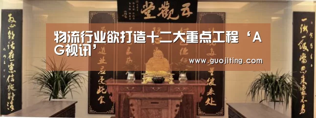 物流行业欲打造十二大重点工程‘AG视讯’