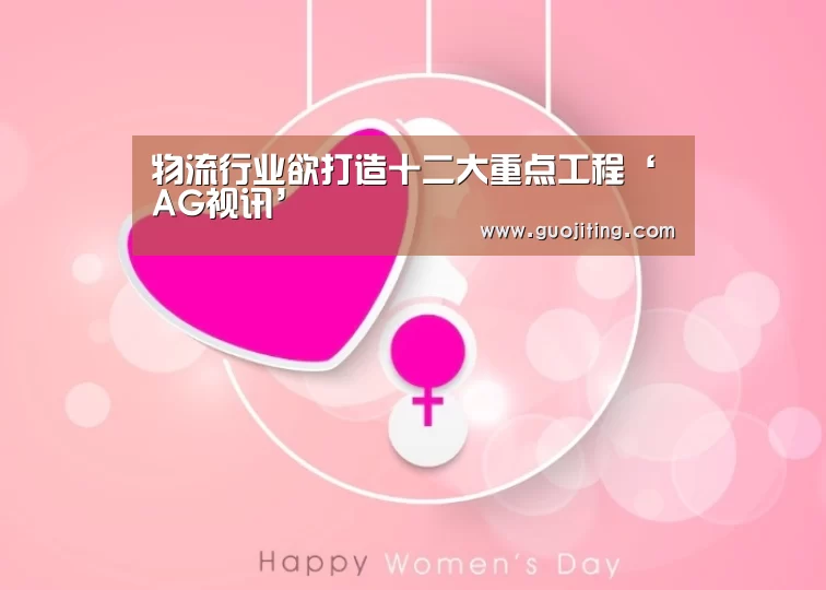 物流行业欲打造十二大重点工程‘AG视讯’(图2) AG地址